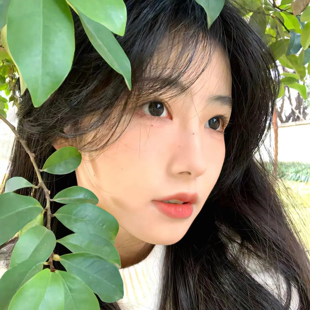 女子格斗